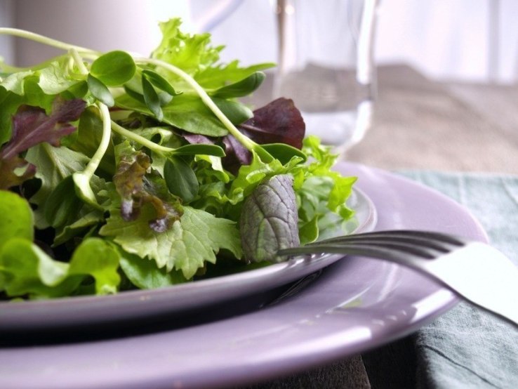 Nuevo de Ikea: Un brote de terracota para cultivar Microgreens - Gardenista