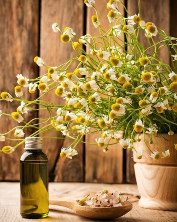 6 Superfoods To Promote Beauty, Inside & Out Hero Image