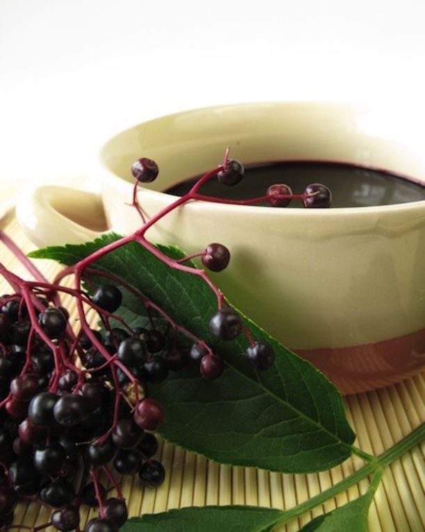 10 Natural Remedies That Should Be In Every Medicine Cabinet Hero Image