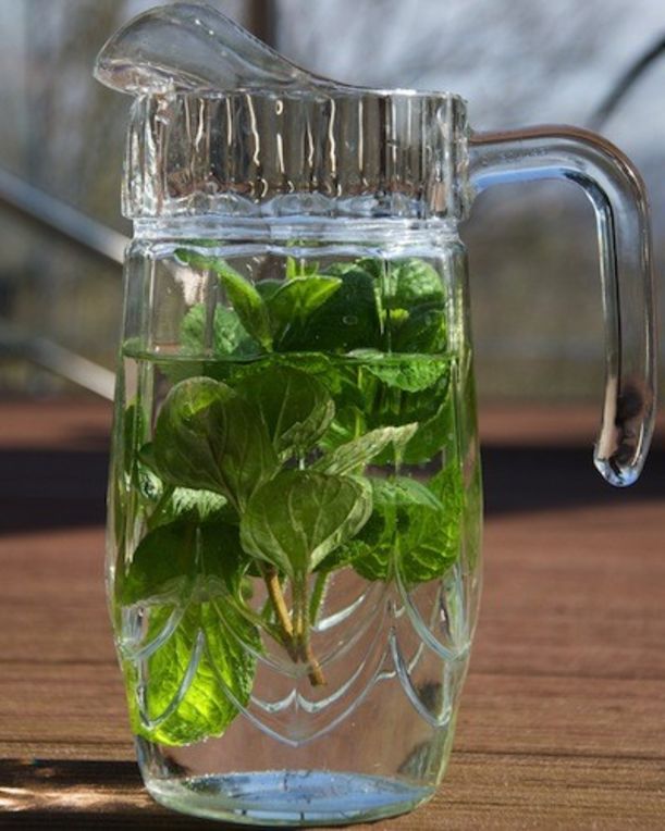 7 Tips To Save Your Produce From The Summer Heat Hero Image