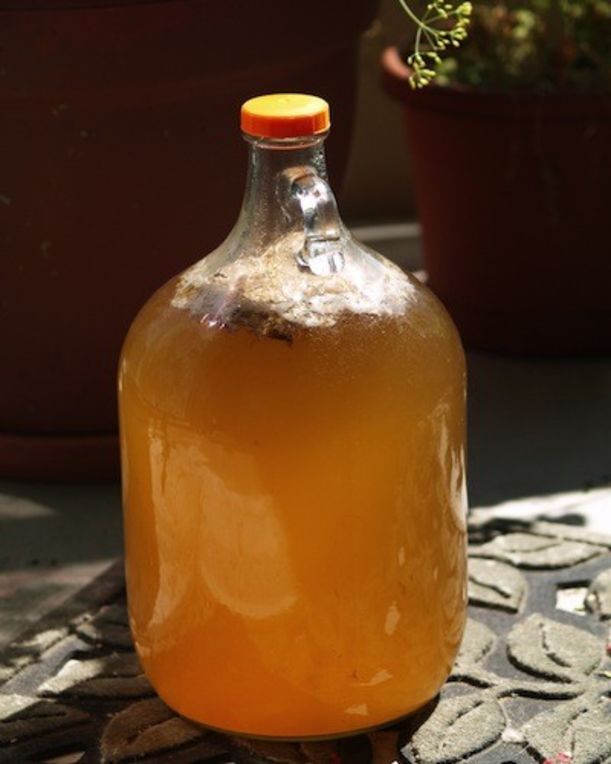 6 Ancient Superfoods For Modern Health Hero Image