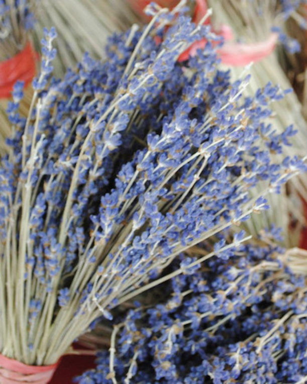 7 Health Lessons We Can All Learn From Provence, France Hero Image