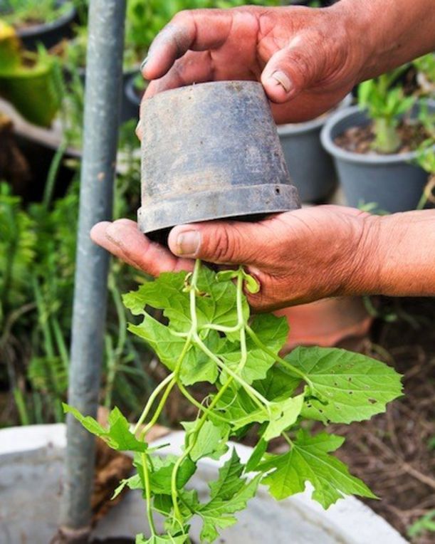 10 Simple Ways To Let Nature Heal You Hero Image