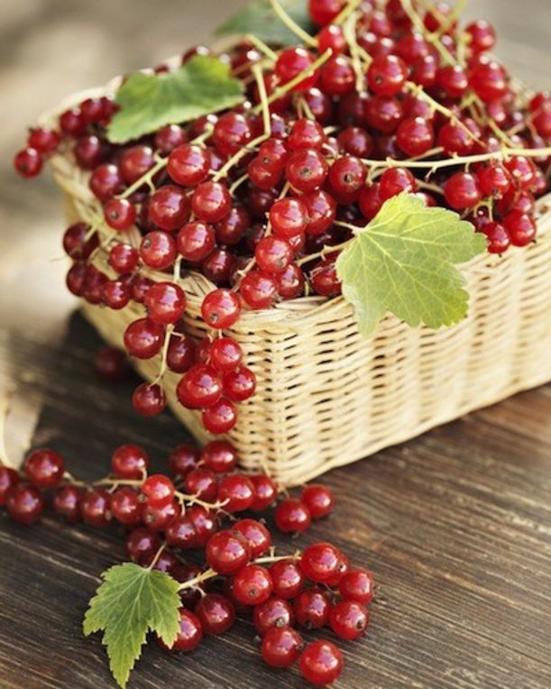 6 Great Ways To Get Vitamin C (Without Supplements!) Hero Image