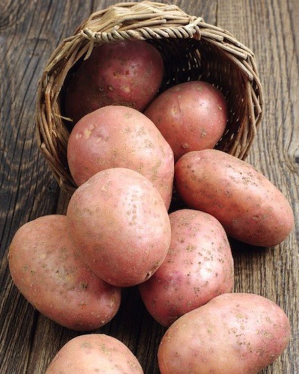 5 "Bad" Foods That Are Actually Great For You Hero Image