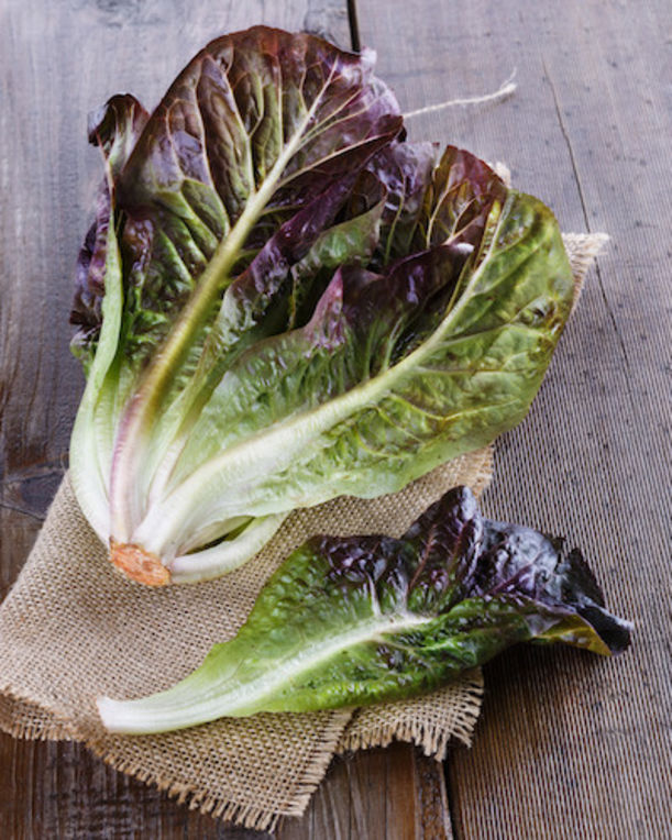The 10 Healthiest Superfoods (Sorry, Kale!) Hero Image