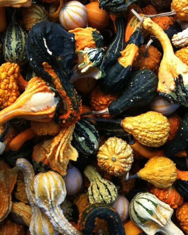 10 Scary-Looking Foods That Are Actually Great For You Hero Image