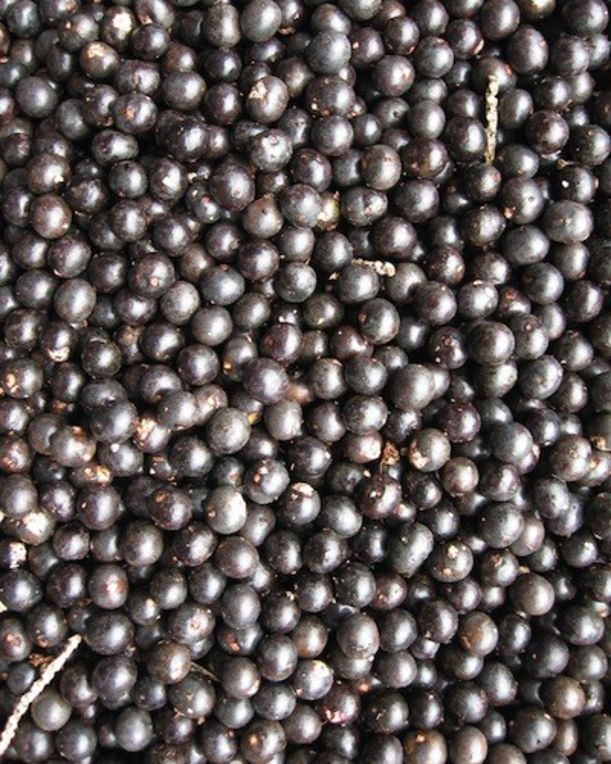 5 Foods To Supercharge Your Morning Smoothie Hero Image