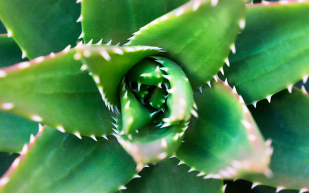 The Perfect Natural Remedies For Even The Worst Of Sunburns Hero Image