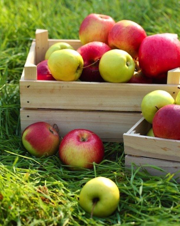 10 Raw Food Staples To Keep You Healthy On A Budget Hero Image