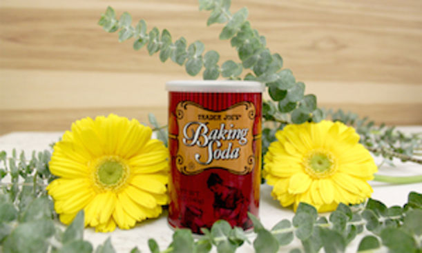 9 Better-For-You Beauty Products You Can Find At Trader Joe's (Under $12) Hero Image