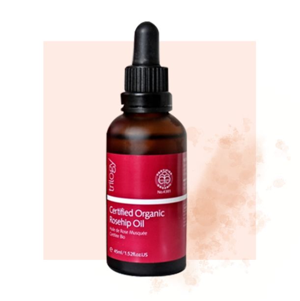 Seriously Effective Natural Beauty Products For Less Than $25 Hero Image
