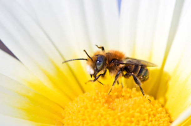 10 Amazing "Natural" Beauty Treatments You Won't Believe Exist Hero Image