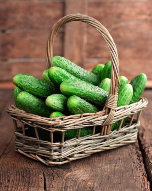 5 Best Foods For A Beach Body Hero Image