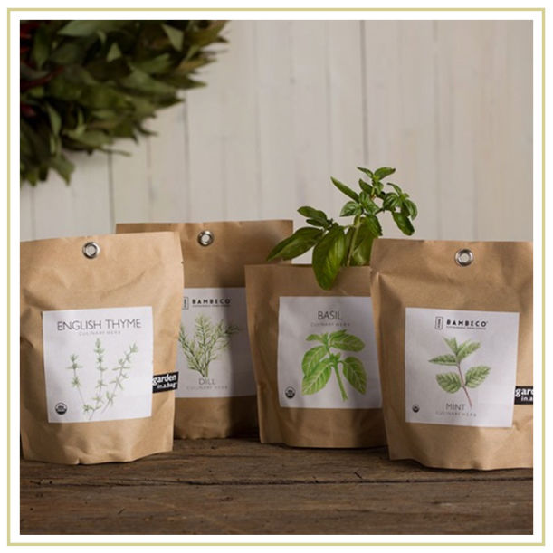 Easy Ways To Make Your Home Feel Like Spring Hero Image