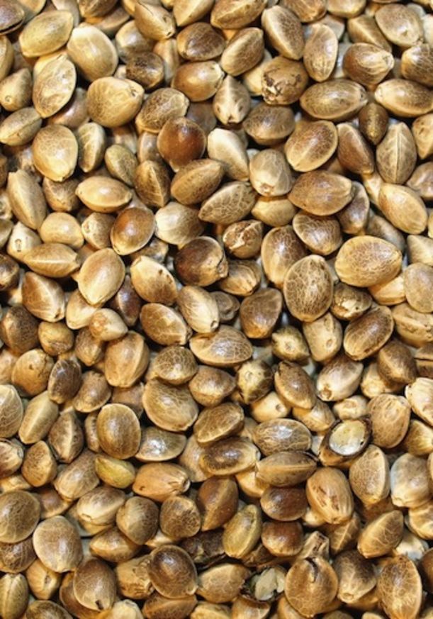 The 5 Best Natural Foods & Minerals For Beauty Hero Image