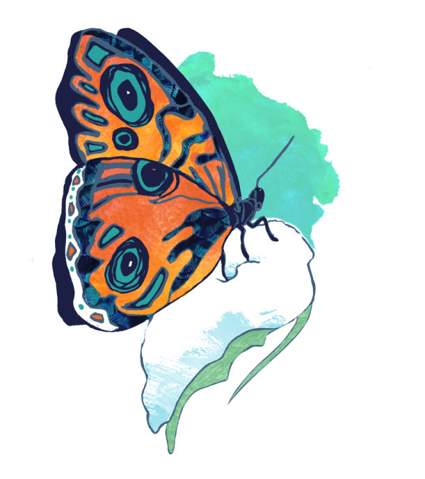 The Best Life Advice Ever — Stunningly Illustrated Hero Image