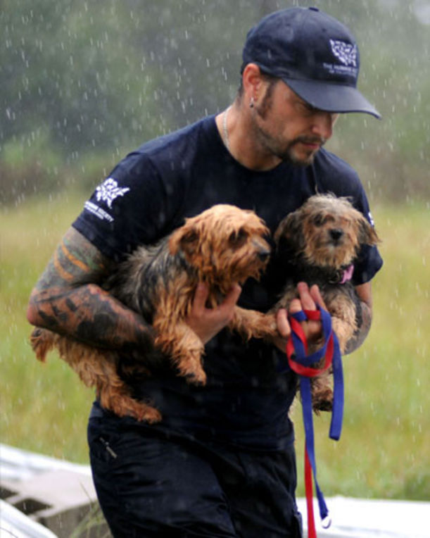 4 Ways To Stop Puppy Mills (And Why You Should Care) Hero Image