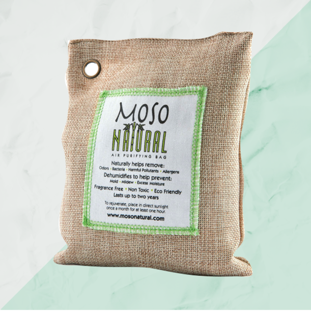 This Green Expo Is A Sustainable Dream. Here Are The Products You HAVE To Have Hero Image