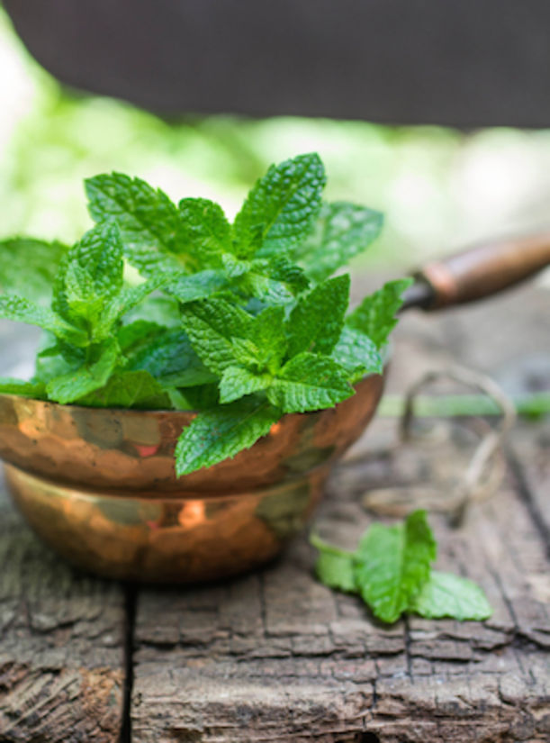 9 Essential Oils + How To Use Them For Clear, Radiant Skin Hero Image