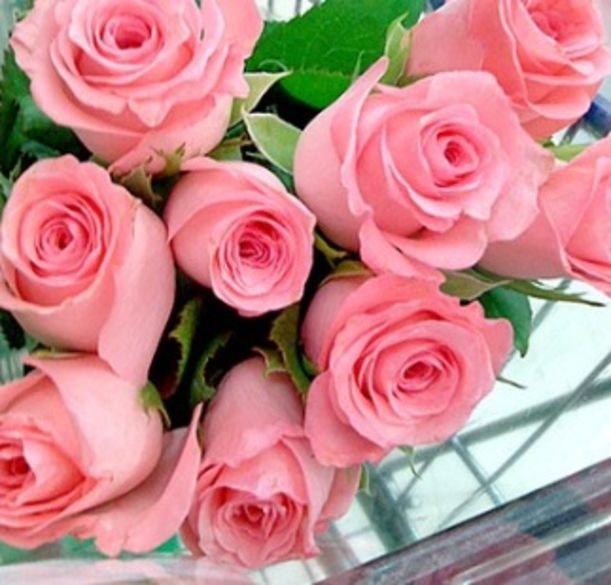 7 Flowers to Color Your Mood Hero Image