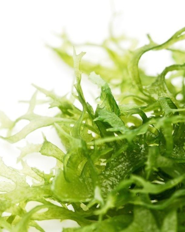 7 Key Nutrients To Look For In Your Foods & Supplements Hero Image