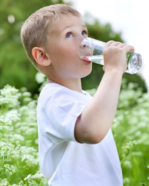 7 Kid-Friendly Foods For Your Next Picnic Hero Image