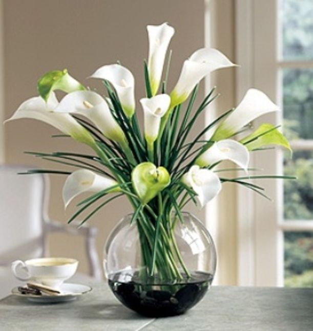 7 Flowers to Color Your Mood Hero Image