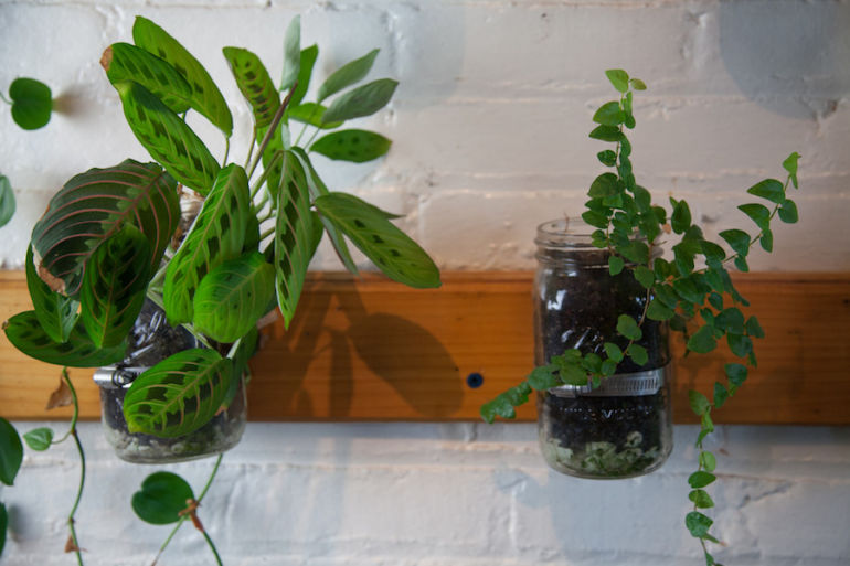 5 Clever Ways To Turn Old Containers Into An Indoor Garden Hero Image