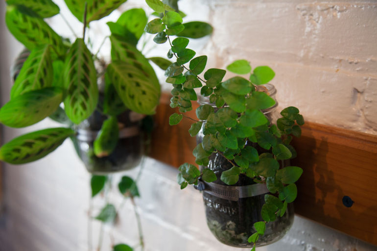 5 Clever Ways To Turn Old Containers Into An Indoor Garden Hero Image