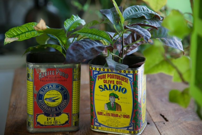 5 Clever Ways To Turn Old Containers Into An Indoor Garden Hero Image