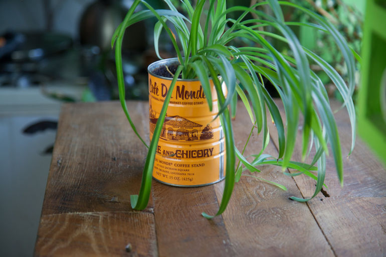 5 Clever Ways To Turn Old Containers Into An Indoor Garden Hero Image
