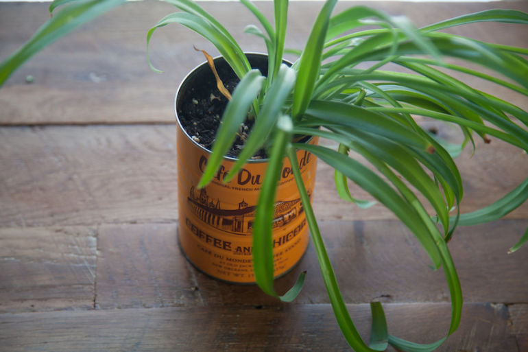 5 Clever Ways To Turn Old Containers Into An Indoor Garden Hero Image