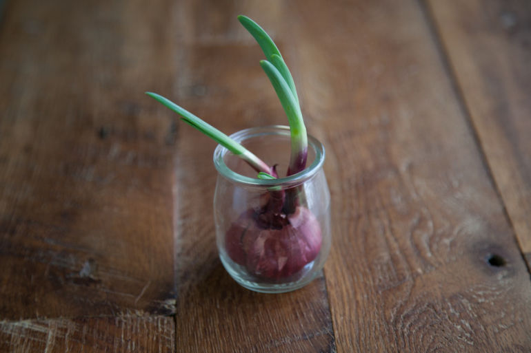 5 Clever Ways To Turn Old Containers Into An Indoor Garden Hero Image