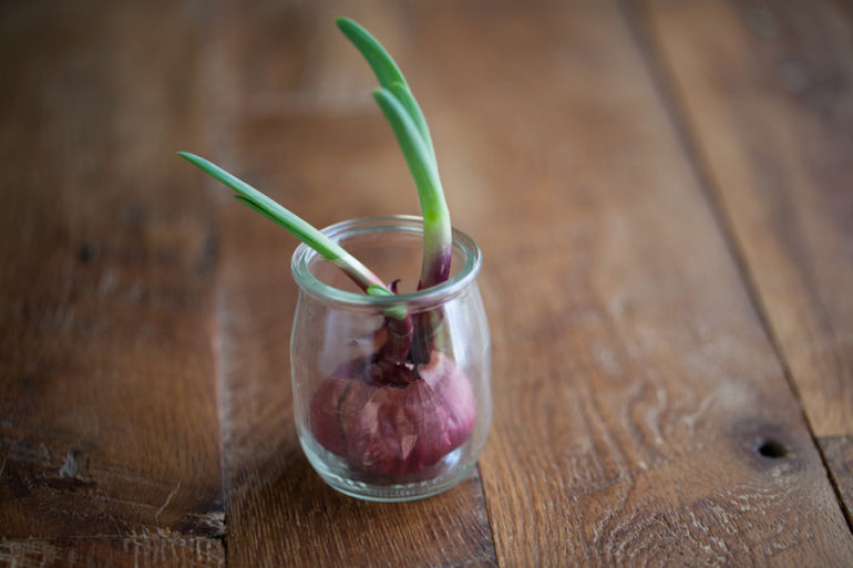 5 Clever Ways To Turn Old Containers Into An Indoor Garden Hero Image
