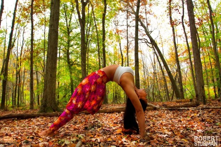 Yoga In Autumn (Gorgeous Slideshow) Hero Image