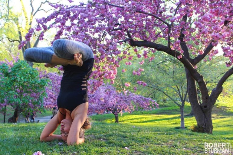 Yoga In Central Park: 25 Photos That Capture The Magic Of NYC Hero Image