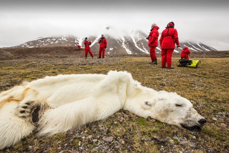 This Is What Climate Change Looks Like (It Isn't Pretty) Hero Image
