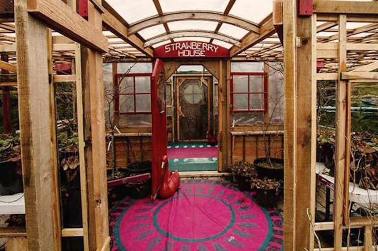 This Couple Spent Decades Building Their Own Self-Sustaining Island Hero Image
