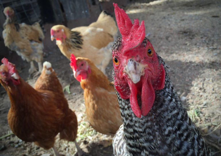 Why Biodynamic Wines Are Better Hero Image