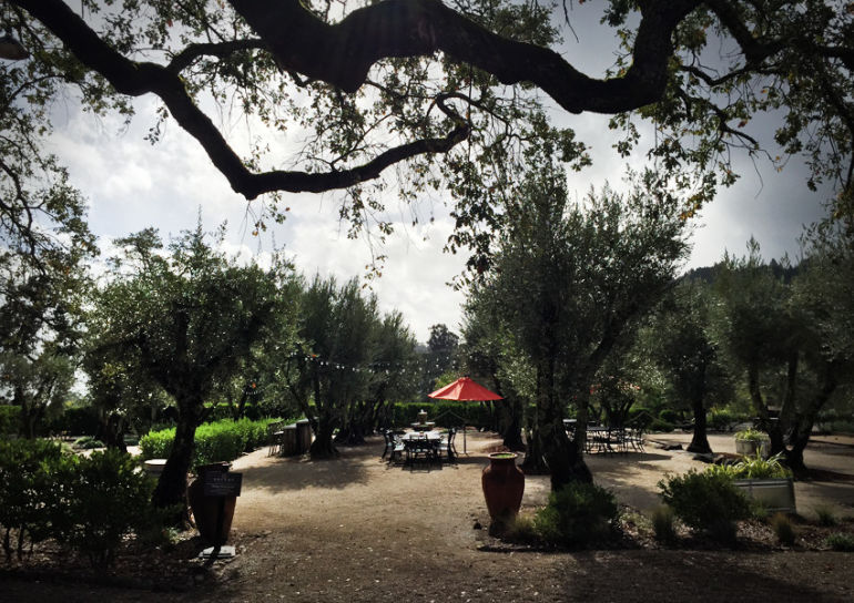 Why Biodynamic Wines Are Better Hero Image