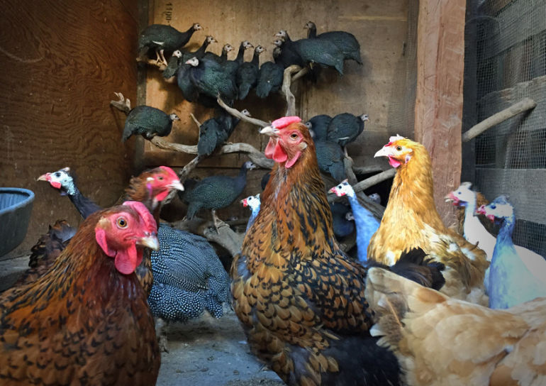 Why Biodynamic Wines Are Better Hero Image