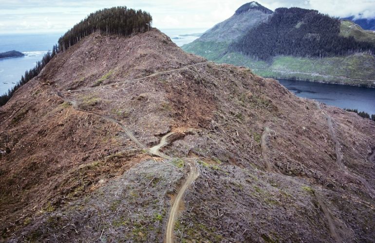 This Is What Climate Change Looks Like (It Isn't Pretty) Hero Image