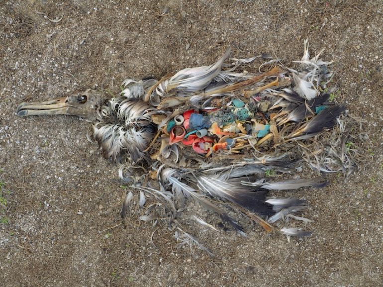 This Is What Climate Change Looks Like (It Isn't Pretty) Hero Image