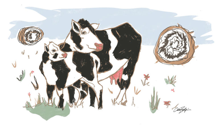 7 Wellness Leaders On Why They Stopped Eating Meat (And Haven't Looked Back) Hero Image