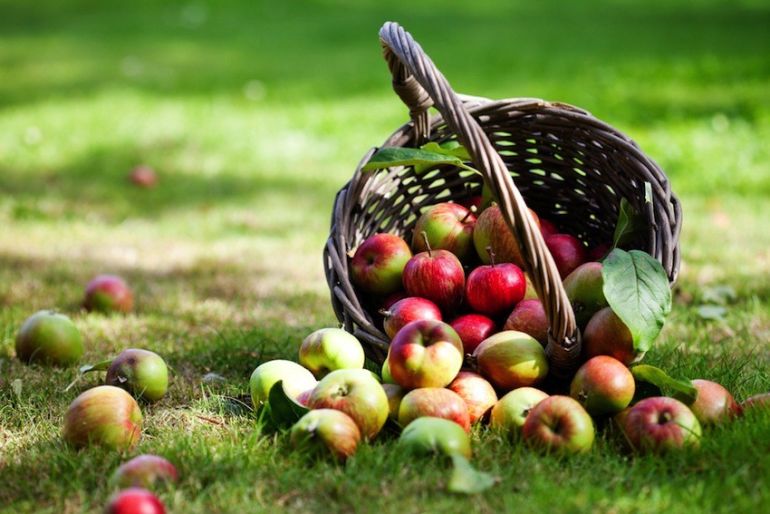 21 Foods To Keep At Home If You're Trying To Eat Clean Hero Image