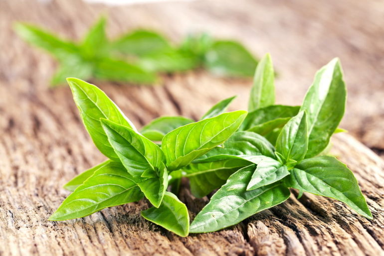 10 Healing Herbs You Can Grow At Home Hero Image