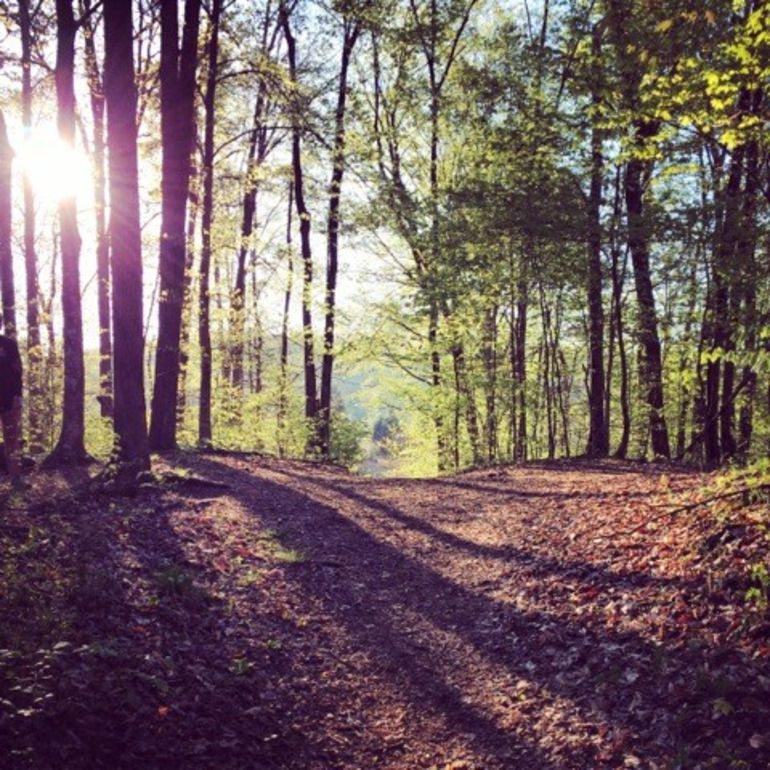 12 Women In Wellness Share Their Favorite Outdoor Workouts This Fall Hero Image