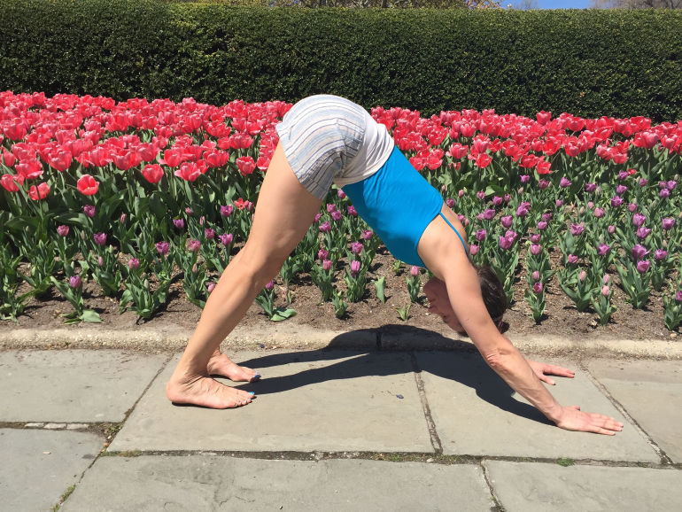 5 Downward Dog Variations To Tone Your Whole Body Hero Image