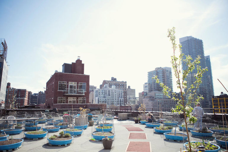 These 9 Urban Farms Will Change The Way You Look At Food Hero Image